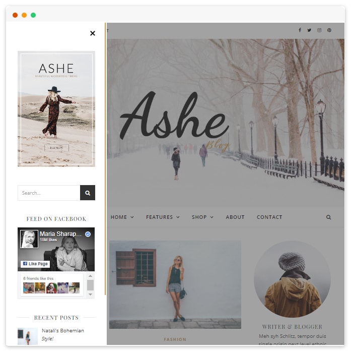 Ashe blog free version wp royal themes